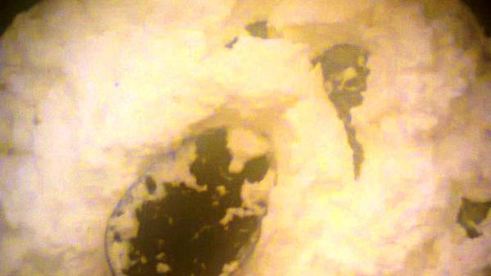 глазунья с творогом