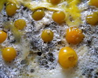 Яичница со шпинатом и физалисом