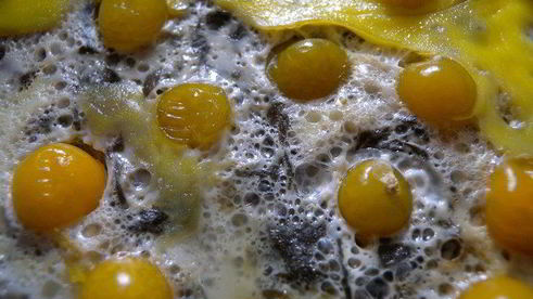 яичница со шпинатом и физалисом