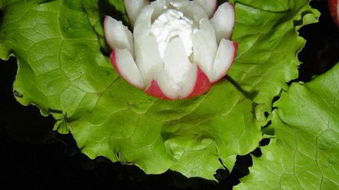 закуска кувшинки с творожным сыром и красной икрой