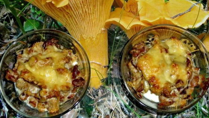 Рецепт жульена из лисичек